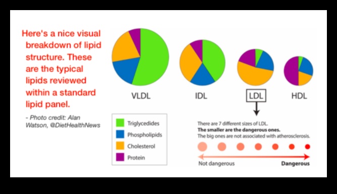 Keto ve Kan Lipid Profilleri: Kapsamlı Bir Görünüm