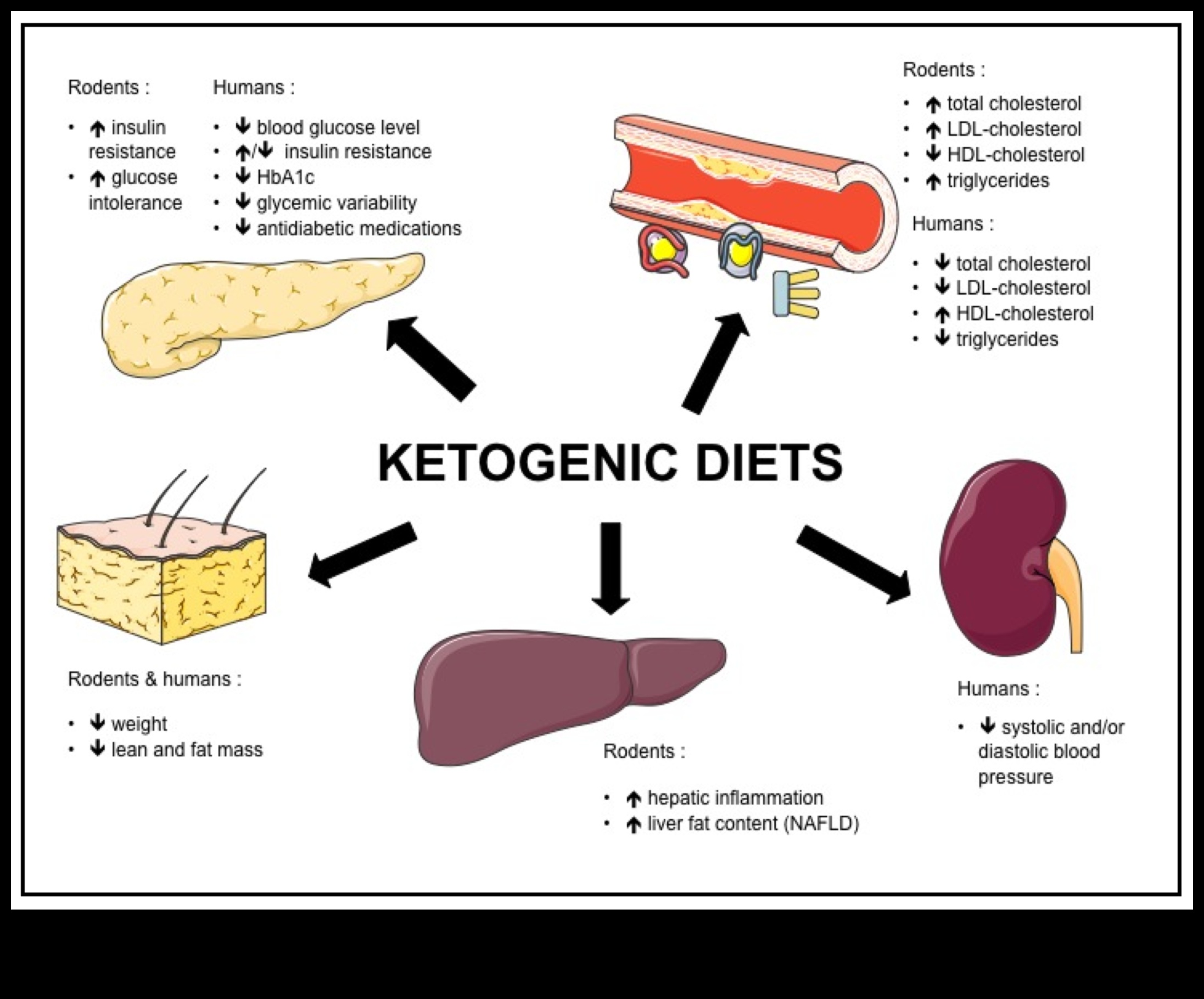 Keto ve Kan Lipid Profilleri: Kapsamlı Bir Görünüm