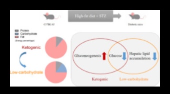 Keto ve Kan Lipid Profilleri: Kapsamlı Bir Görünüm